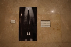 WhatsApp-Image-2026-02-13-at-13.54.03-11