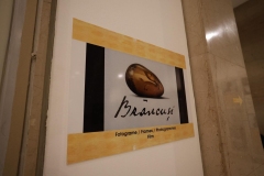 WhatsApp-Image-2026-02-13-at-13.54.03-6