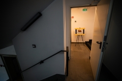 CCDP-Constantin-Brancusi-0036