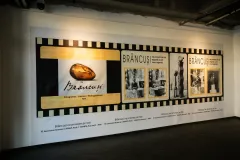 CCDP-„Constantin-Brancusi-0005