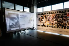 CCDP-„Constantin-Brancusi-0011