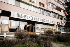 CCDP-„Constantin-Brancusi-0001