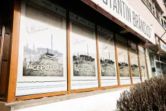 CCDP-„Constantin-Brancusi-0002