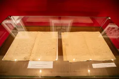 CCDP-„Constantin-Brancusi-0007