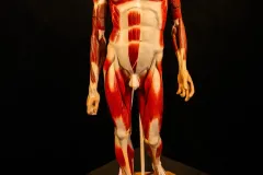 CCDP-„Constantin-Brancusi-0012