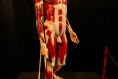 CCDP-„Constantin-Brancusi-0013