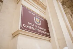 CCDP-„Constantin-Brancusi-0002