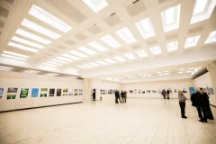 CCDP-„Constantin-Brancusi-0003