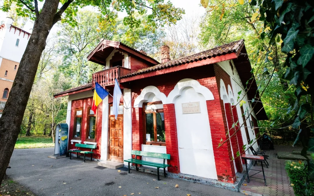 EXPOZIȚIA „SYMPHONY”  A ARTISTEI VIZUALE ANA DARIA HAIDĂU