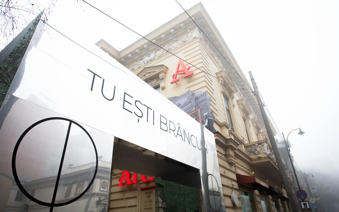 Iubeşte! În oglinda-gigant „Poarta sărutului”, „Tu ești Brâncuși!”