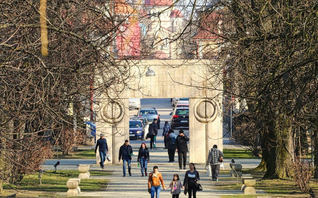 COMUNICAT DE PRESĂ privind constatarea unei degradări locale la un element litic