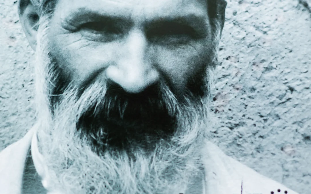 Lansarea Revista LACE